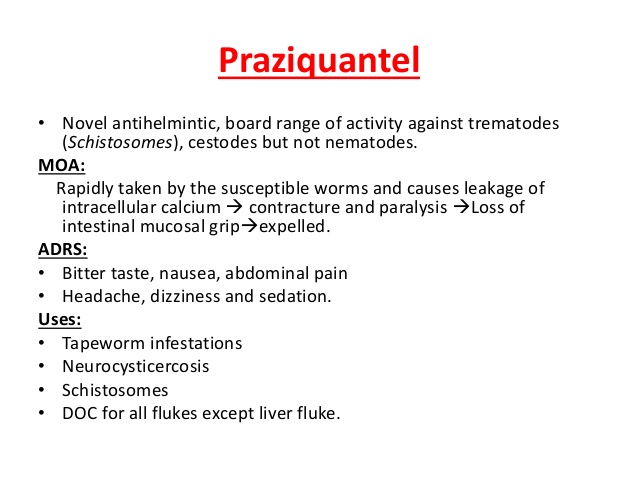 What Praziquantel Is Used For
