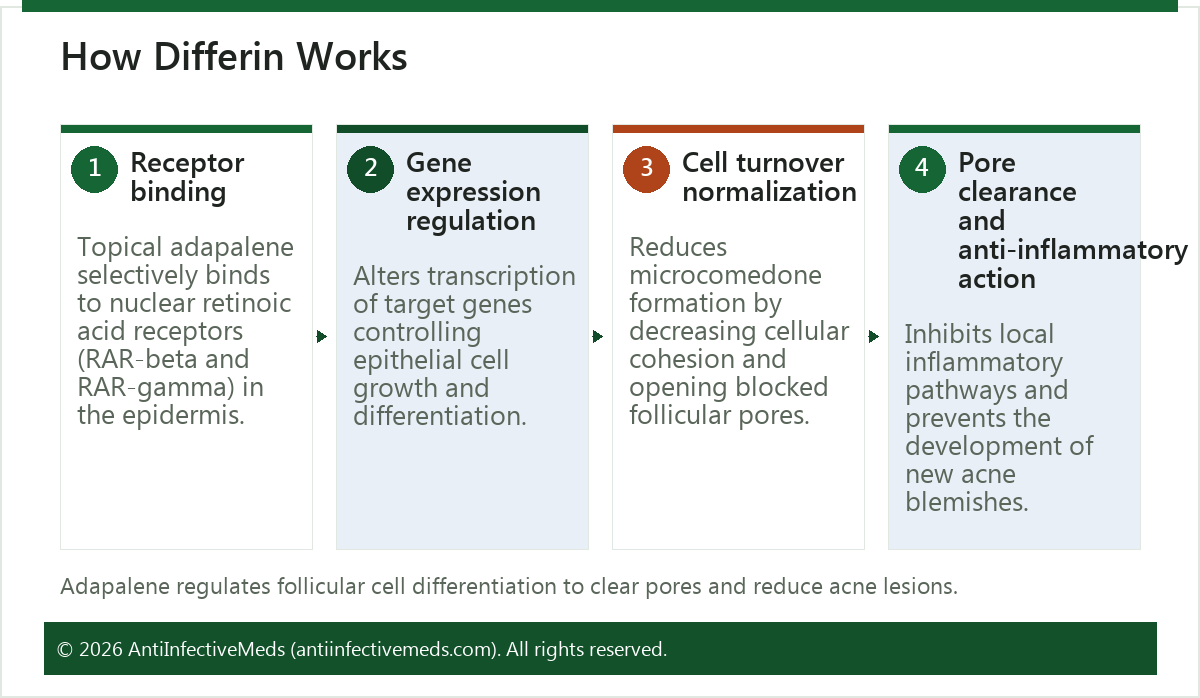 How Differin Works