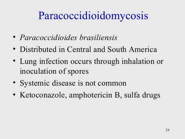 Ketoconazole Paracoccidioidomycosis